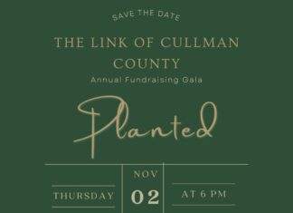 ‘We are planting good seeds daily’