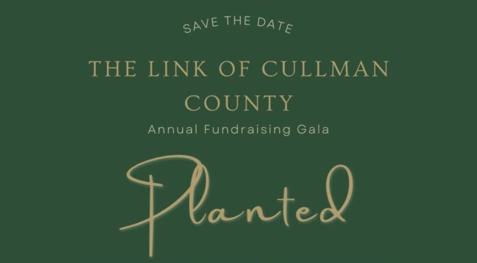 ‘We are planting good seeds daily’