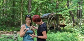 Alabama Mushroom Society monthly foray Aug. 19 at Sportsman Lake Park