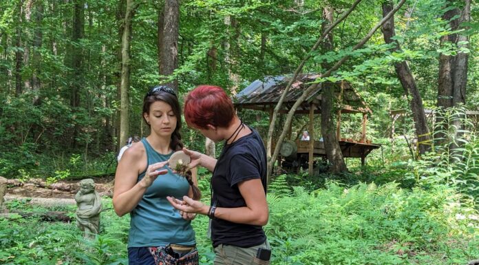 Alabama Mushroom Society monthly foray Aug. 19 at Sportsman Lake Park