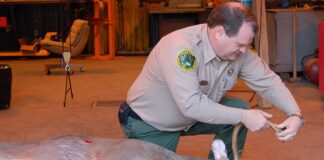 WFF biologists available to help with hunting season preparations