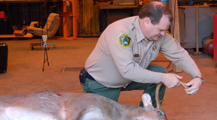 WFF biologists available to help with hunting season preparations