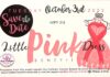 Cullman County Bosom Buddies set to host 4th annual Little Pink Dress Benefit