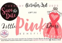 Cullman County Bosom Buddies set to host 4th annual Little Pink Dress Benefit