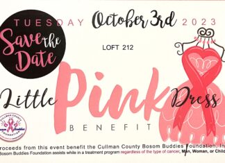 Cullman County Bosom Buddies set to host 4th annual Little Pink Dress Benefit