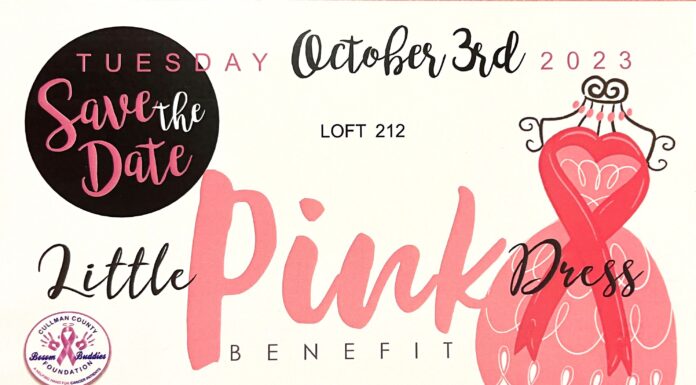 Cullman County Bosom Buddies set to host 4th annual Little Pink Dress Benefit