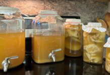 Alabama Extension expert: Learn how to make kombucha from the comfort of home