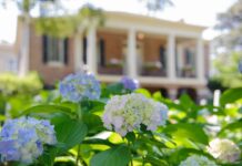 St. Bernard’s Burrows named to UA Early College summer 2023 Director’s List