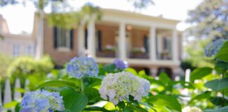 St. Bernard’s Burrows named to UA Early College summer 2023 Director’s List