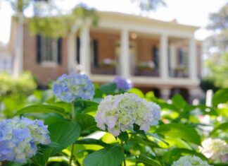 St. Bernard’s Burrows named to UA Early College summer 2023 Director’s List