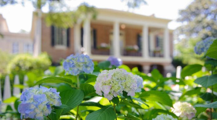 St. Bernard’s Burrows named to UA Early College summer 2023 Director’s List