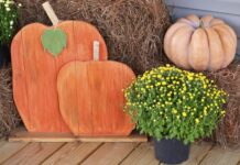 ACES: A home gardener’s mum survival guide