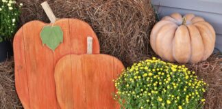 ACES: A home gardener’s mum survival guide