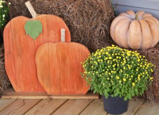 ACES: A home gardener’s mum survival guide