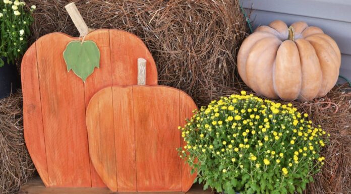 ACES: A home gardener’s mum survival guide