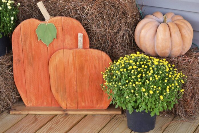 50521784761_da51a88a5a_k-scaled