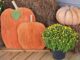 ACES: A home gardener’s mum survival guide
