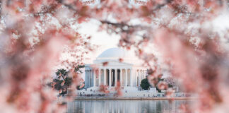 Spring trip to Washington, D.C., planned with WSCC Alumni Association