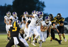 PREP FOOTBALL: Fairview blanks Priceville on the road 35-0