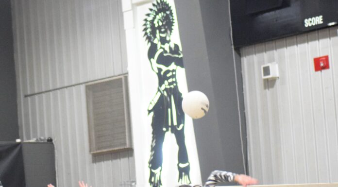 PREP VOLLEYBALL: West Point sweeps Russellville on senior night