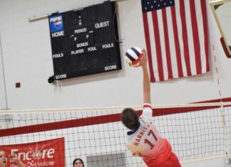 PREP VOLLEYBALL: Vinemont edges East Lawrence 3-2