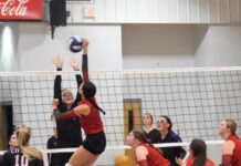 PREP VOLLEYBALL: Good Hope sweeps region opener at Hanceville