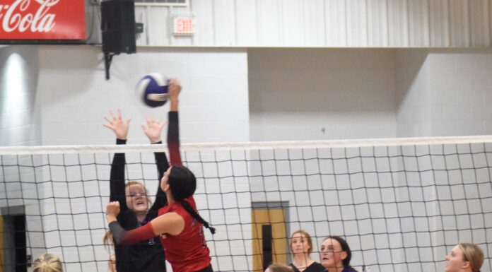 PREP VOLLEYBALL: Good Hope sweeps region opener at Hanceville