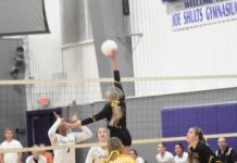 PREP VOLLEYBALL: Fairview wins senior night matches over Scottsboro, Decatur Heritage