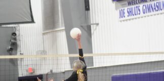 PREP VOLLEYBALL: Fairview wins senior night matches over Scottsboro, Decatur Heritage