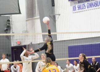 PREP VOLLEYBALL: Fairview wins senior night matches over Scottsboro, Decatur Heritage