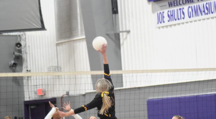 PREP VOLLEYBALL: Fairview wins senior night matches over Scottsboro, Decatur Heritage