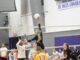 PREP VOLLEYBALL: Fairview wins senior night matches over Scottsboro, Decatur Heritage