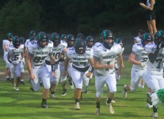 PREP FOOTBALL: Holly Pond falls to Locust Fork on the road 68-28