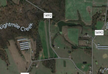 Vinemont man killed in Cullman County plane crash