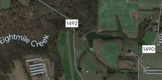 Vinemont man killed in Cullman County plane crash