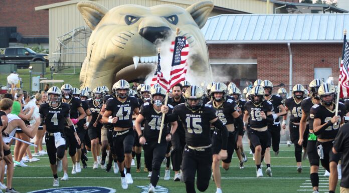 PREP FOOTBALL: Cullman collects 15-13 win at Jasper