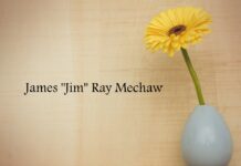 Obituary: James “Jim” Ray Mechaw