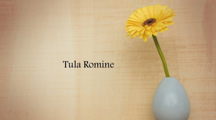 Obituary: Tula Romine