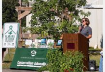 Harmony buzzing over Outdoor Classroom certification