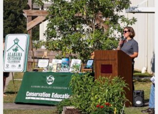 Harmony buzzing over Outdoor Classroom certification