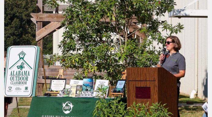 Harmony buzzing over Outdoor Classroom certification