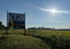 Haynes Farms brings services, sunshine to Cullman County