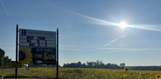 Haynes Farms brings services, sunshine to Cullman County