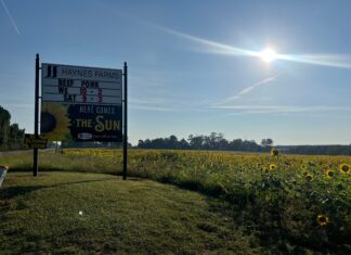 Haynes Farms brings services, sunshine to Cullman County