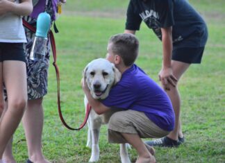 ‘It is about us – our community as a whole’