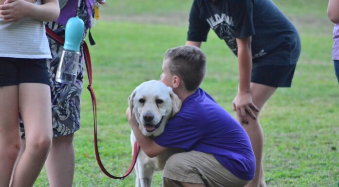 ‘It is about us – our community as a whole’