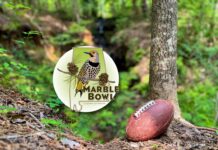 Alabama Extension launches 2nd annual Marble Bowl competition