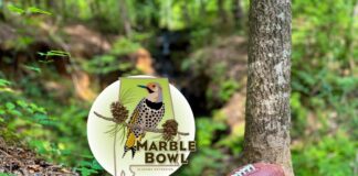 Alabama Extension launches 2nd annual Marble Bowl competition