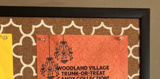 Woodland Village seeking candy donations for 1st fall carnival since pandemic