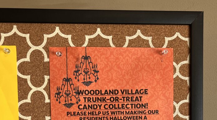 Woodland Village seeking candy donations for 1st fall carnival since pandemic